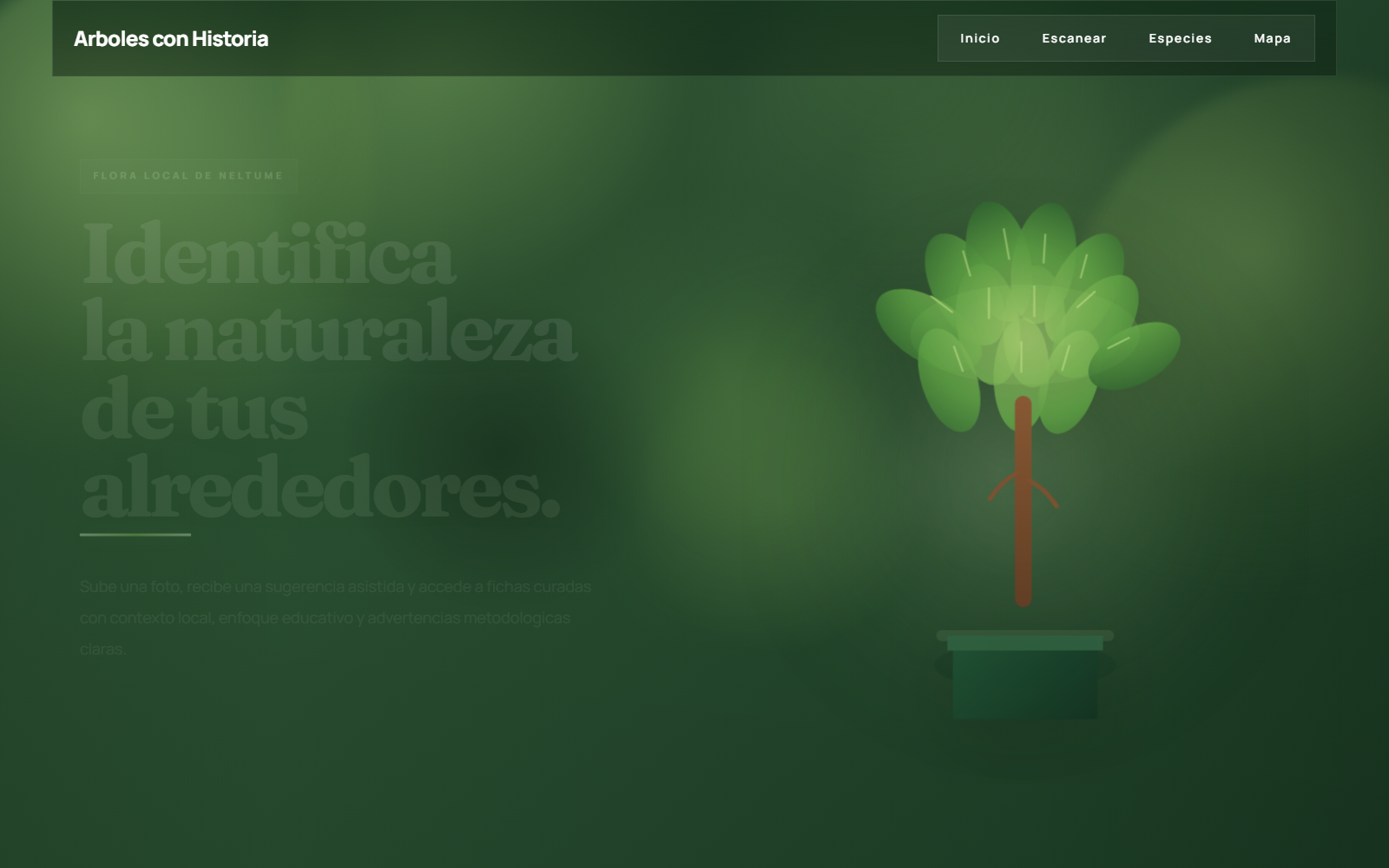 Vista previa de Arboles con Historia en Neltume Online